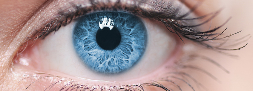 Detectar enfermedades a través de los ojos